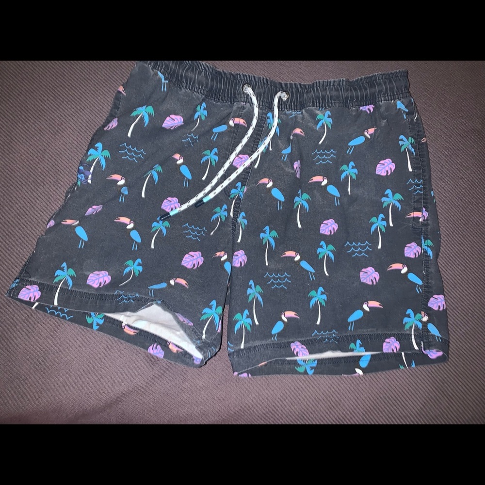 Party Pants Swim Trunks Large